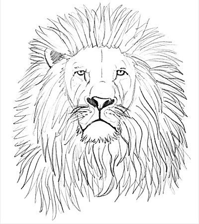 Draw the mane of a lion